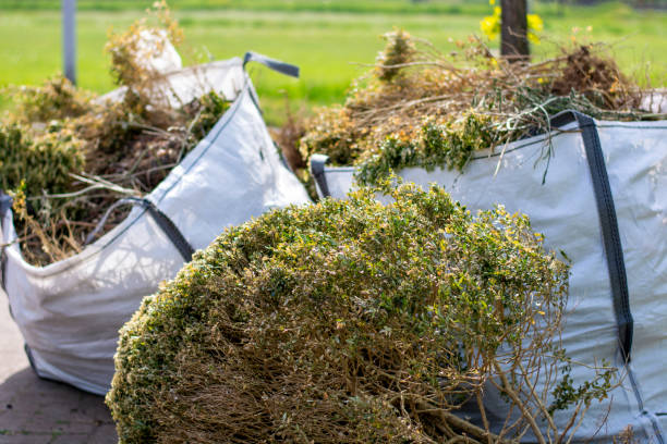 Best Yard Cleanup Services  in Plentywood, MT